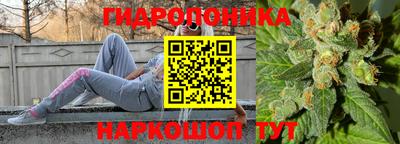 прущие крисы Конаково